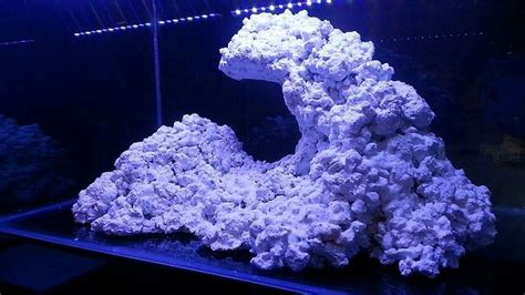 Aquascaping is an art form with a function that goes well beyond aesthetics. Aquarium aquascape in the form of a wave. These guys are ...