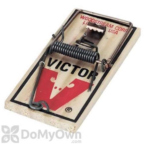 Victor Mouse Trap Free Shipping