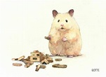 超萌治癒系《倉鼠日常插畫》「GOTTE」依自家倉鼠的形象作為靈感創作一系列作品 | 宅宅新聞