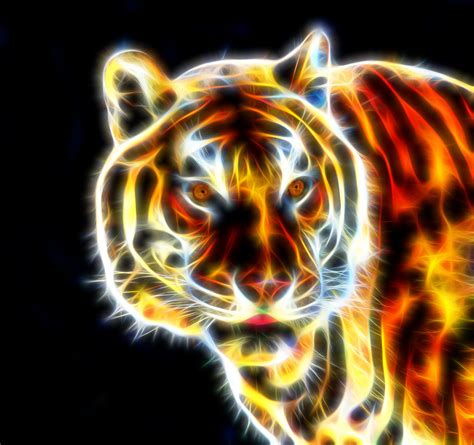 Wallpaper Illustration Tiger Big Cats Fractalius Jaguar