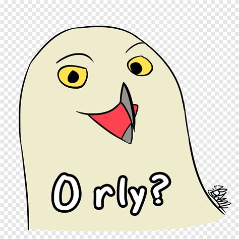 O Rly Snowy Owl Wacom Intuos Pro Paper Edition Medium Meme Owl