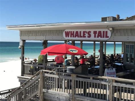 Whales Tail 30a Destin Florida Restaurants Miramar Beach