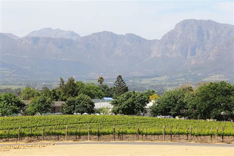 Exclusive Constantia Wine Tasting Tour In Cape Town South Africa