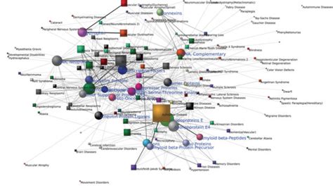 Human Disease Networks Information Visualization