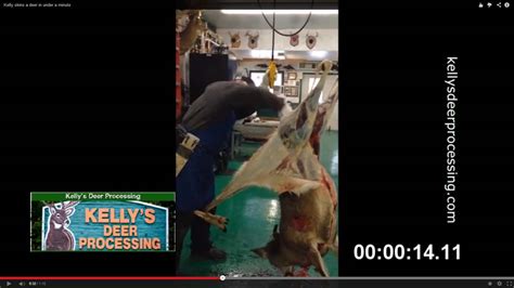 Kellys Deer Processing Skins A Deer In Under One Minute Dw Video
