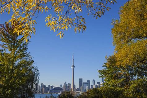 Where To Enjoy The Fall Foliage In Toronto