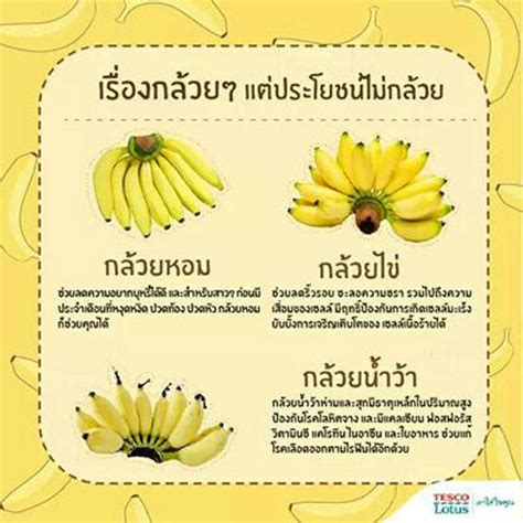 คุณรู้หรือไม่ว่ากล้วยมีประโยชน์อย่างไร?#ความรู้รอบตัว | Dek-D.com
