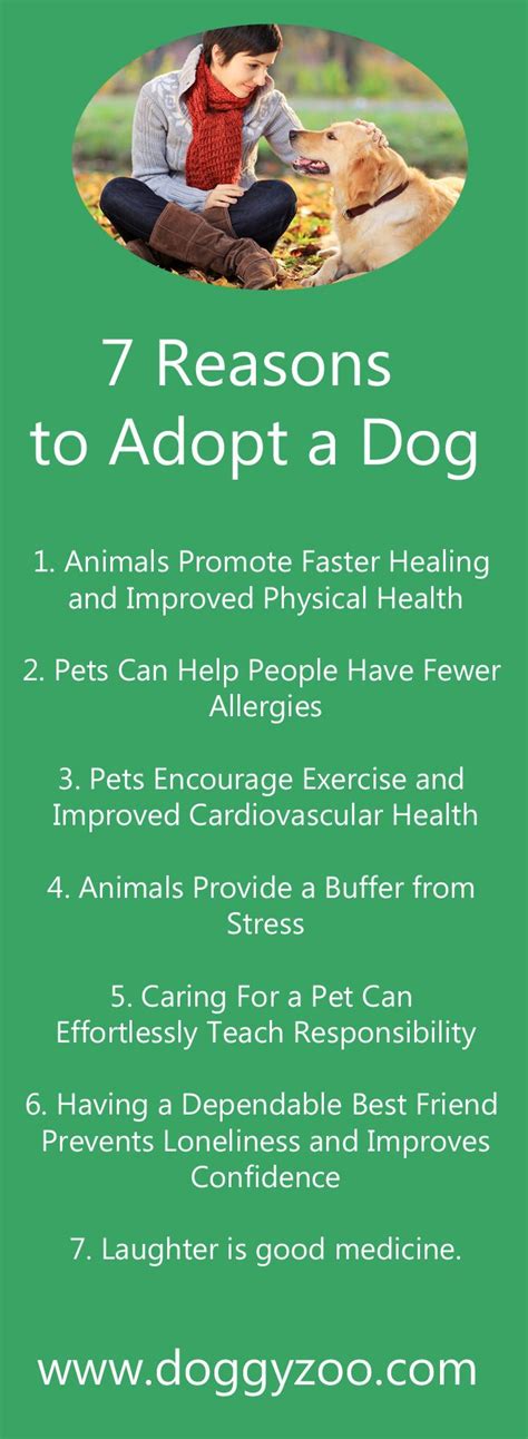7 Reasons To Adopt A Dog Dog Adoption Adoption Dogs