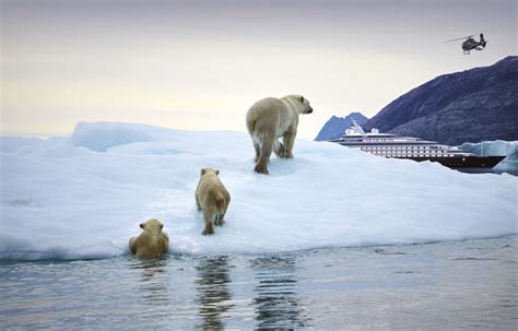 Polar Bears Greenland Map