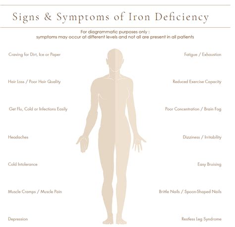 Signs Of Iron Deficiency Sbf Center Medical Suites In Singapore