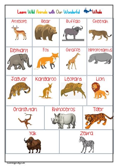 Top 189 Pet Animals Chart With Names