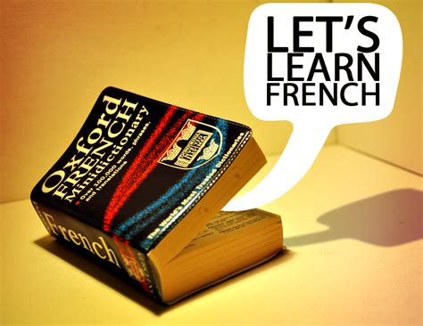 Dictionaries - FRE 101/102, 201/202: French (Online) - LibGuides at ...