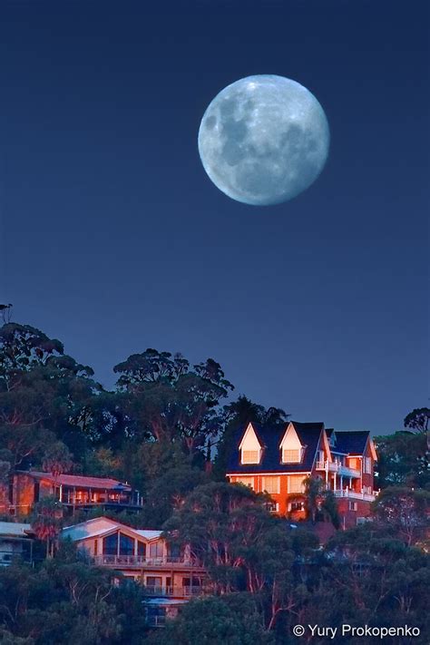 Moon Rise Moon Rise Over Newport Nsw Australia Yury Prokopenko