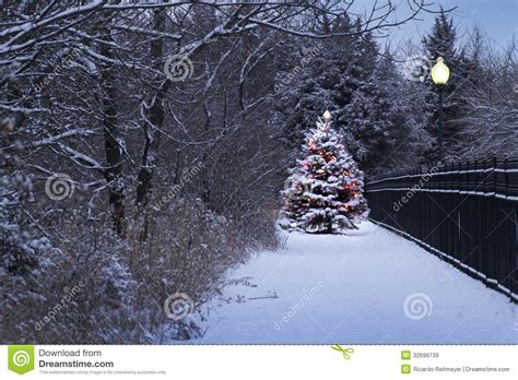Snow Covered Christmas Tree Magically Glows In Thi Royalty Free Stock