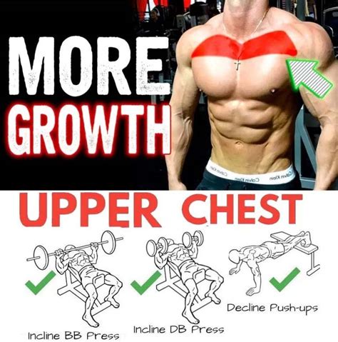 This muscle group is responsible for pushing movements and interacts synergistically with the anterior. How To Do Proper Upper Chest: Tips & Guide