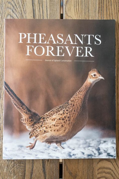 Pheasants Forever Journal Of Upland Conservation Miles West Creative