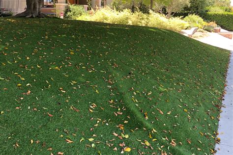 The Best Artificial Grass 2021 Reviews By Wirecutter