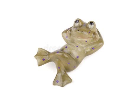 Relaxing Frog Stock Image Image Of Amphibian Animal 33071629