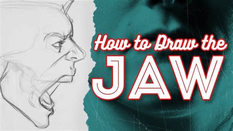 How To Draw The Jaw Face Drawing Drawings Mouth Drawing
