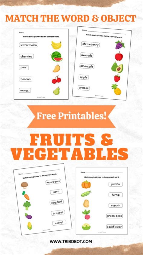 Identifying Fruits And Vegetables Learning Worksheets