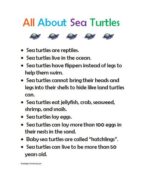 Sea Turtle Preschool Fact Sheet Printable And Other Sea Turtle Craft