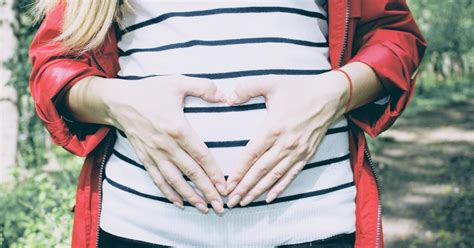 El Embarazo Es Contagioso Y Este Estudio Te Explica Por Qué Soy Carmín
