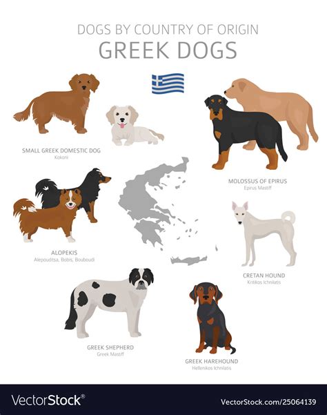 Dogs Country Origin Greek Dog Breeds Royalty Free Vector