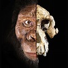 The Remains Of The Oldest Human Ancestor Ever Found | First Human ...