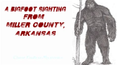 A Bigfoot Sighting From Miller County Arkansas Youtube