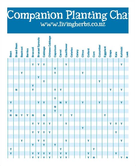 Companion Planting Chart 9 Free Excel Pdf Documents Download