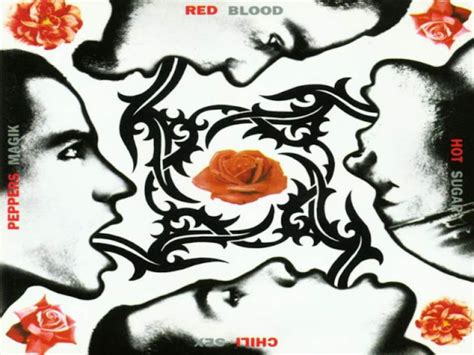 Blood Sugar Sex Magik Red Hot Chili Peppers ~ Todo Rock