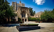 5 Things to Know Before Applying to Yale University | Blog | Admissionado