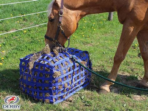 Derby Originals Natural Grazer Patented Four Sided Slow Feed Horse Hay