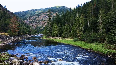 Northern Idahos Clearwater River Trees Sky Forest Rocks Mountains