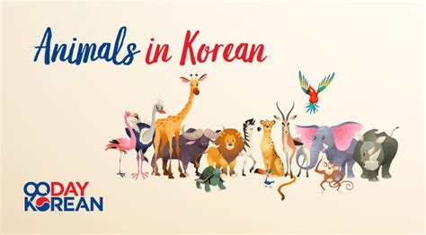Animals In Korean Your Complete Guide To These Creatures