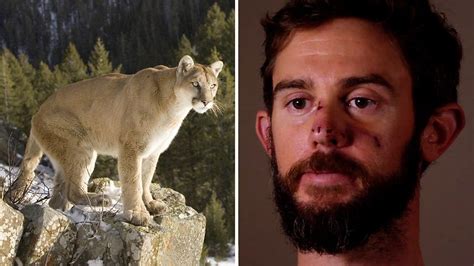 Mountain Lion Us Mother Fights Off Animal Attacking Her Son Bbc News