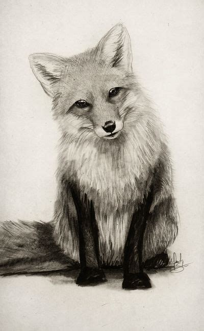 Isaiah Kstephens Fox Art Fox Sketch Art Prints