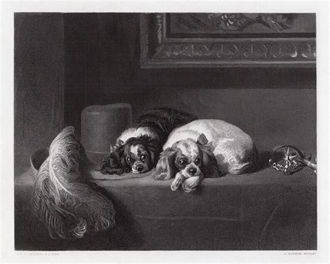 Edwin Landseer 1800s Etching Spaniels Of King Charles Breed Custom