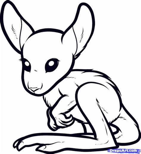 Kangaroo Coloring Pages For Kids Coloring Home