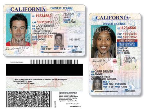 Is A Drivers License A Government Id