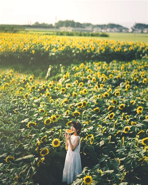 A Woman Standing In The Middle Of A Field Of Sunflowers Eating An Apple