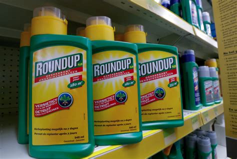 Court Rejects Trump Era Epa Finding That Roundup Weed Killer Is Safe