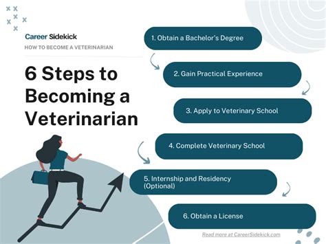 How To Become A Veterinarian Career Sidekick