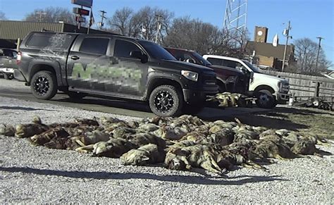 Undercover Investigation At Wildlife Killing Contest In Illinois