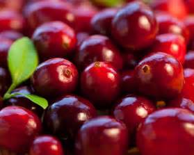 DIY Cranberry Beauty Recipes | Beautylish