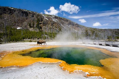Yellowstone National Park Yesterday And Today