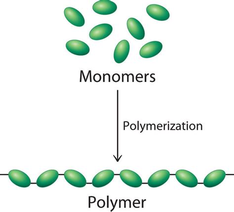What Is A Polymer Live Science