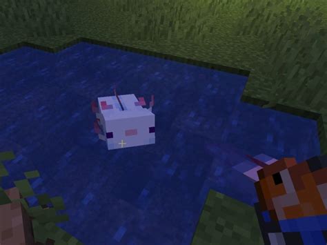 How To Breed Axolotls In Minecraft Gamepur