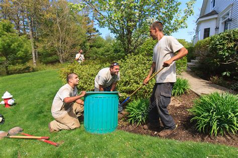 Landscapers At Work In Garden Stock Image F0177895 Science Photo