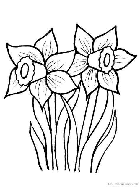 24+ free printable color sheets for spring. Daffodil Flower Coloring Page at GetColorings.com | Free ...